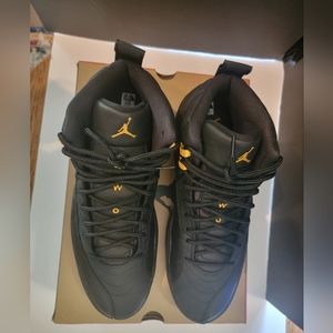 Mens Air Jordan 12 retro